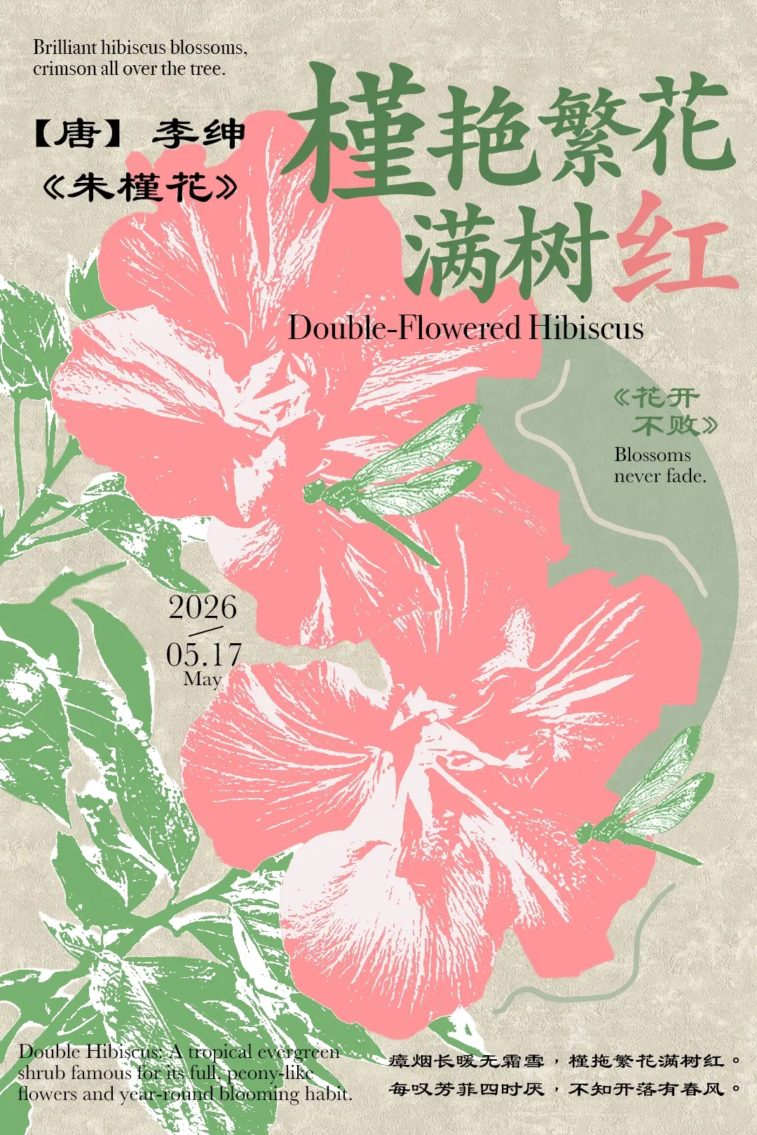 探索主图